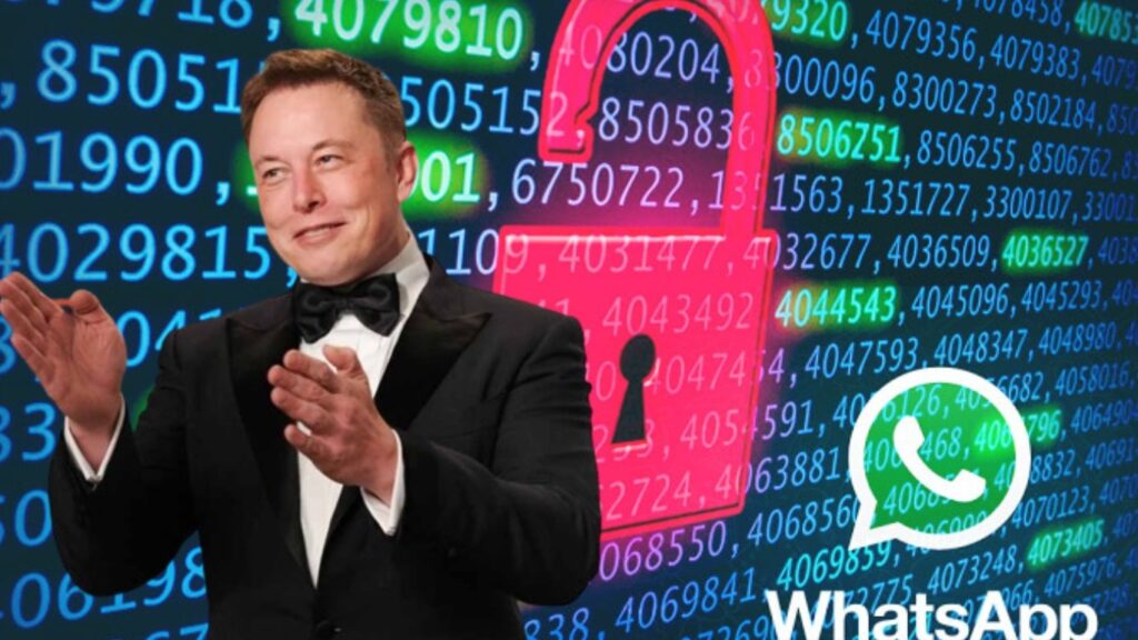 Elon Musk And WhatsApp