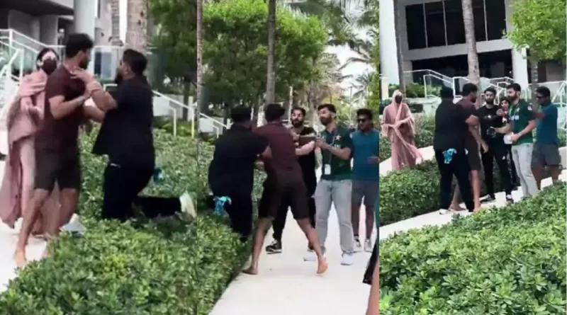 harish rauf fight with pakistani fan