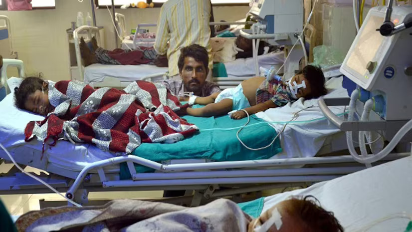 chandipura virus