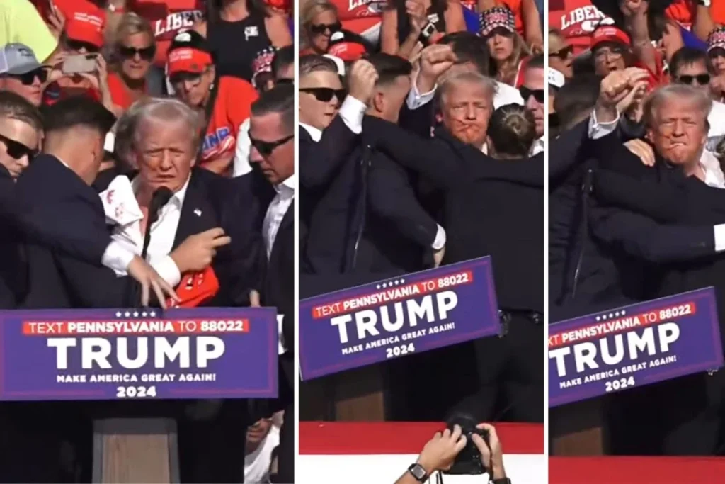 donald trump firing