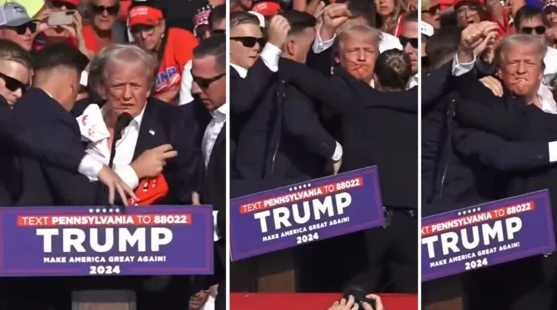 donald trump firing