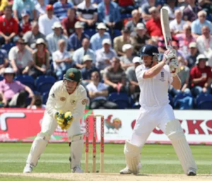 paul collingwood