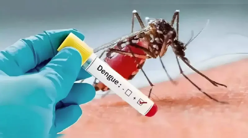 dengue
