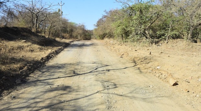 sasan gir road
