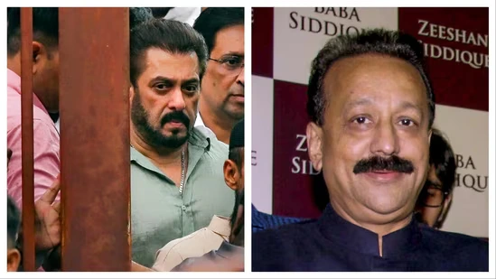 salman (image source HT)