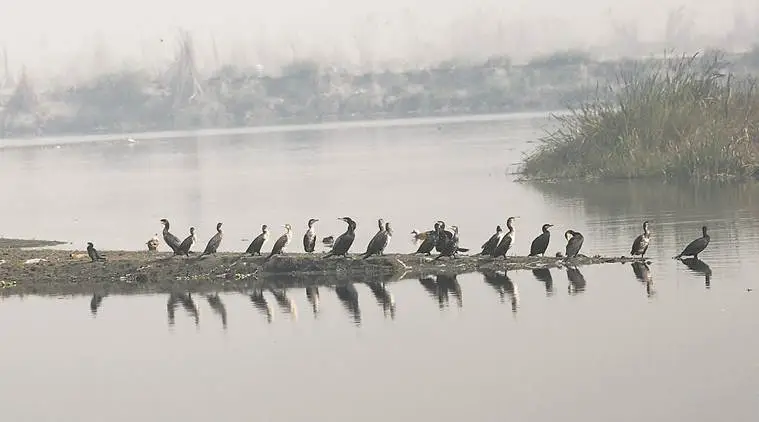 indian express image source