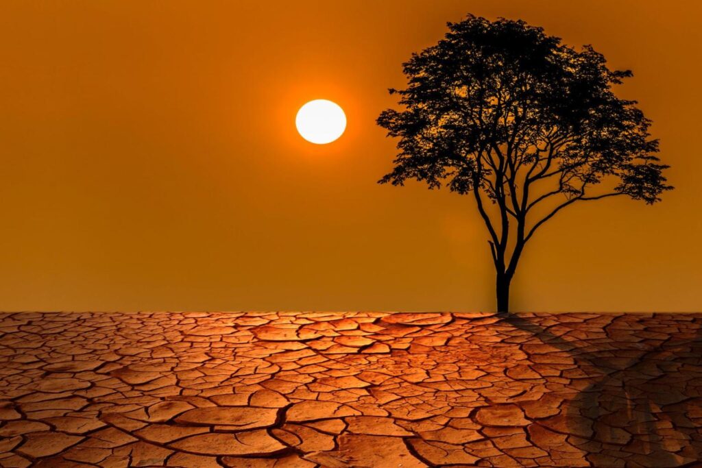 image source wmo
