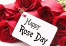 happy rose day