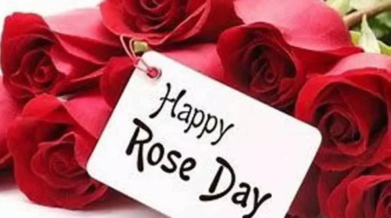 happy rose day