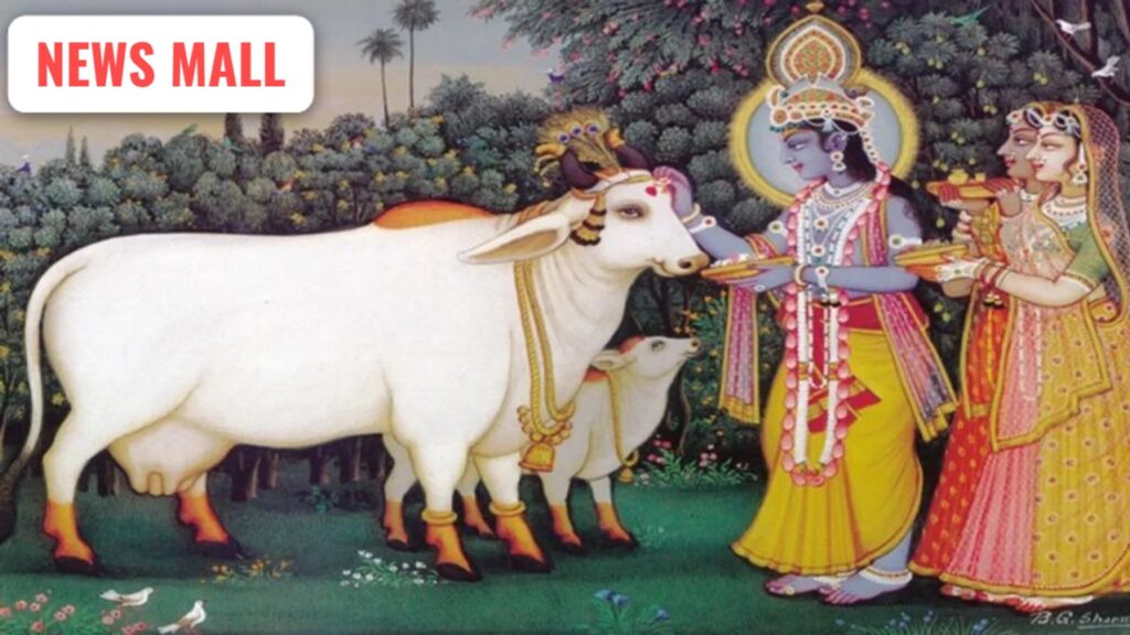 TV 9 Image Credit