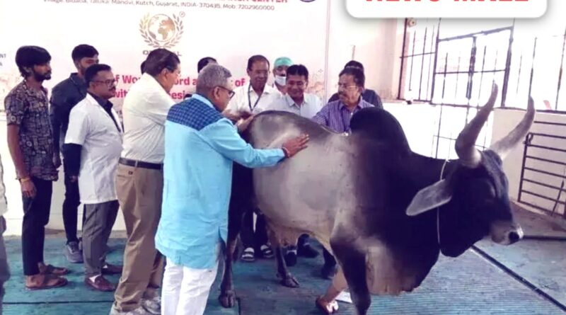 Gujarat Mirror Image Credit