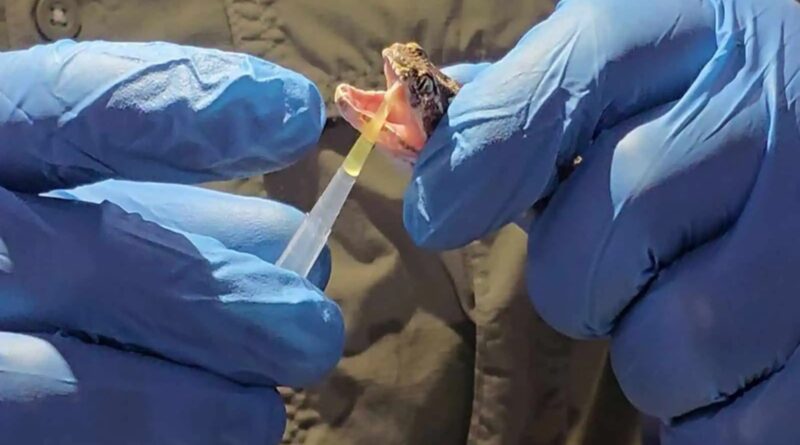 newsmill image credit