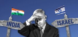 the quint pic credit