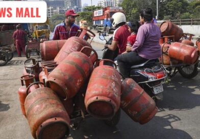 the hindu business image credit