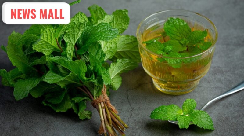 India TV Image Credit