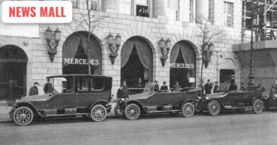 mindonmap image credit