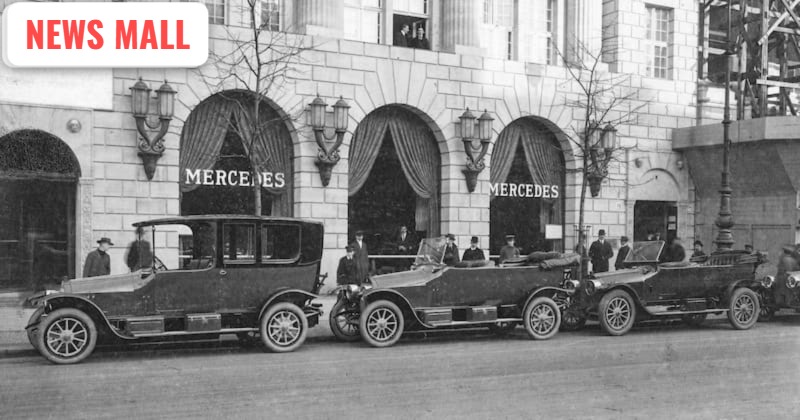 mindonmap image credit