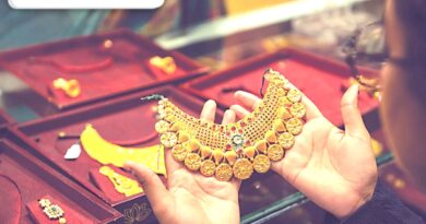 business standard image credit