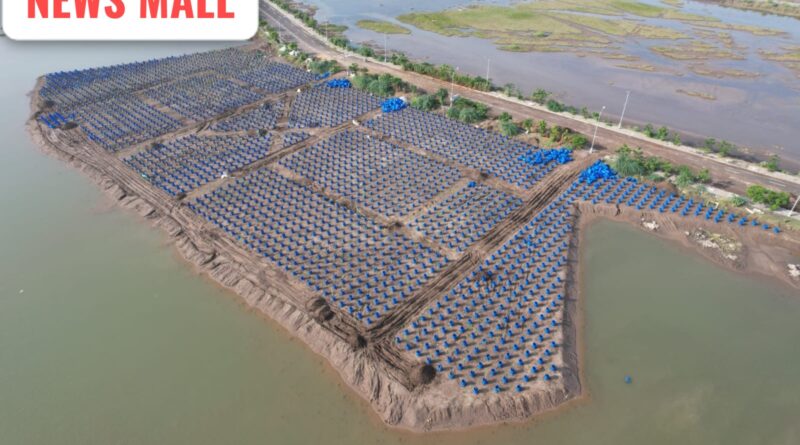 Guj Govt Pic Credit
