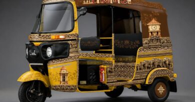 Vadnagar Heritage Auto Project GSFC Gujarat Tourism