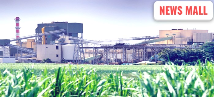 social media credit sugar price high