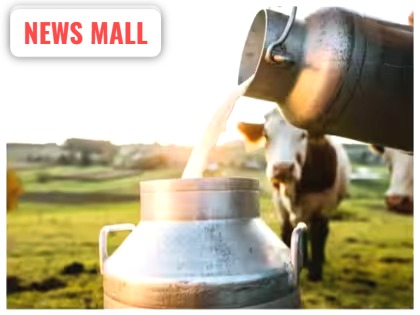 મુંબઈ દૂધ ભાવ વધારો 102 રૂપિયા લિટર જીએસટી દરો