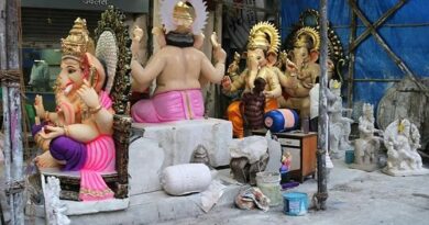 rediff credit ganeshotsav-bitter-truth-30-foot-ganesha-idol
